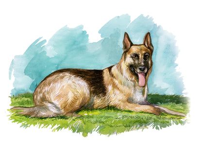 Pet Water Colour Art - Digital Painting - Pet Portraits from Photos - Colourful Dog Portraits - Custom pet portrait Frame